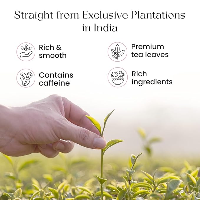 Blendart Blossom Blush Rose White Tea Bags Delicate Caffeinated Tea Made from Fresh Leaves. Natural Premium White Tea Bags -100 Pyramid Tea Bags