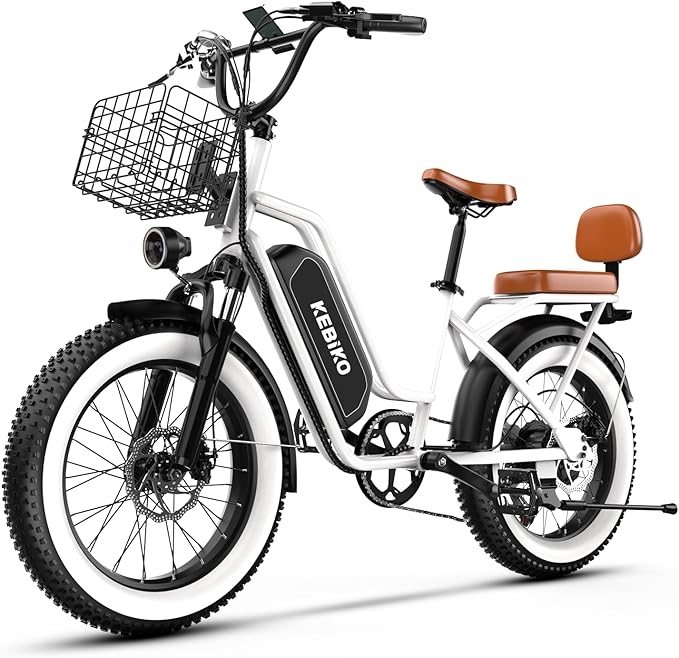 1500W Electric Bike for Adults,48V 20/60Ah Removable Battery Max Range 80Miles & 30MPH Electric Bicycle,20''ร4" Fat Tire Ebike,Adult Electric Bicycles for Commute Beach Snow,E-Bike UL Certified