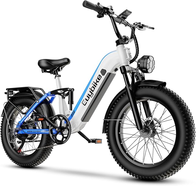 1500W Electric Bike for Adults,48V 20/60Ah Removable Battery Max Range 80Miles & 30MPH Electric Bicycle,20''ร4" Fat Tire Ebike,Adult Electric Bicycles for Commute Beach Snow,E-Bike UL Certified