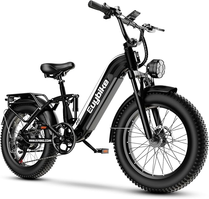 1500W Electric Bike for Adults,48V 20/60Ah Removable Battery Max Range 80Miles & 30MPH Electric Bicycle,20''ร4" Fat Tire Ebike,Adult Electric Bicycles for Commute Beach Snow,E-Bike UL Certified