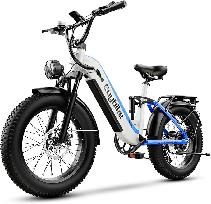 1500W Electric Bike for Adults,48V 20/60Ah Removable Battery Max Range 80Miles & 30MPH Electric Bicycle,20''ร4" Fat Tire Ebike,Adult Electric Bicycles for Commute Beach Snow,E-Bike UL Certified