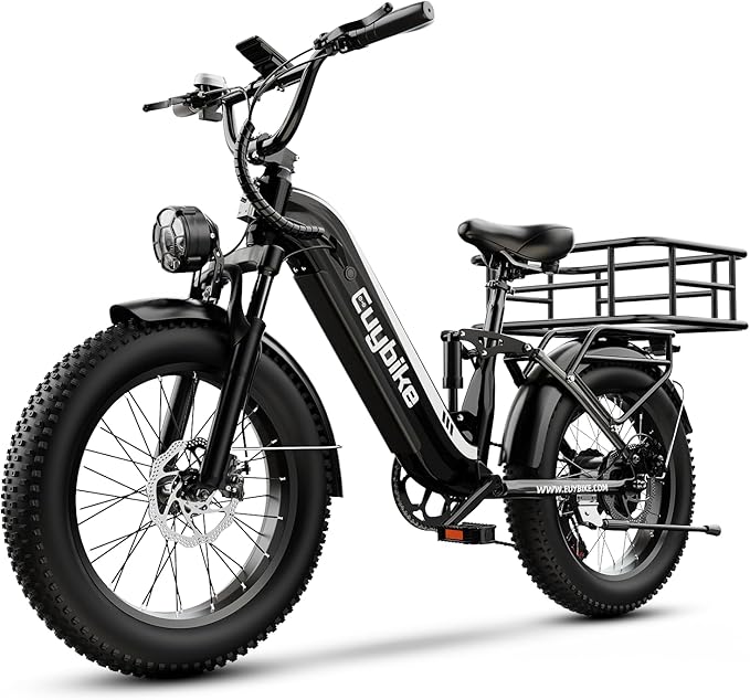 1500W Electric Bike for Adults,48V 20/60Ah Removable Battery Max Range 80Miles & 30MPH Electric Bicycle,20''ร4" Fat Tire Ebike,Adult Electric Bicycles for Commute Beach Snow,E-Bike UL Certified