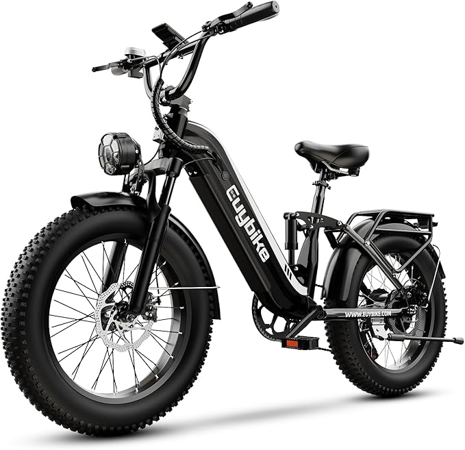 1500W Electric Bike for Adults,48V 20/60Ah Removable Battery Max Range 80Miles & 30MPH Electric Bicycle,20''ร4" Fat Tire Ebike,Adult Electric Bicycles for Commute Beach Snow,E-Bike UL Certified