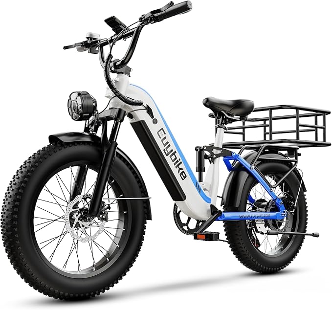 1500W Electric Bike for Adults,48V 20/60Ah Removable Battery Max Range 80Miles & 30MPH Electric Bicycle,20''ร4" Fat Tire Ebike,Adult Electric Bicycles for Commute Beach Snow,E-Bike UL Certified