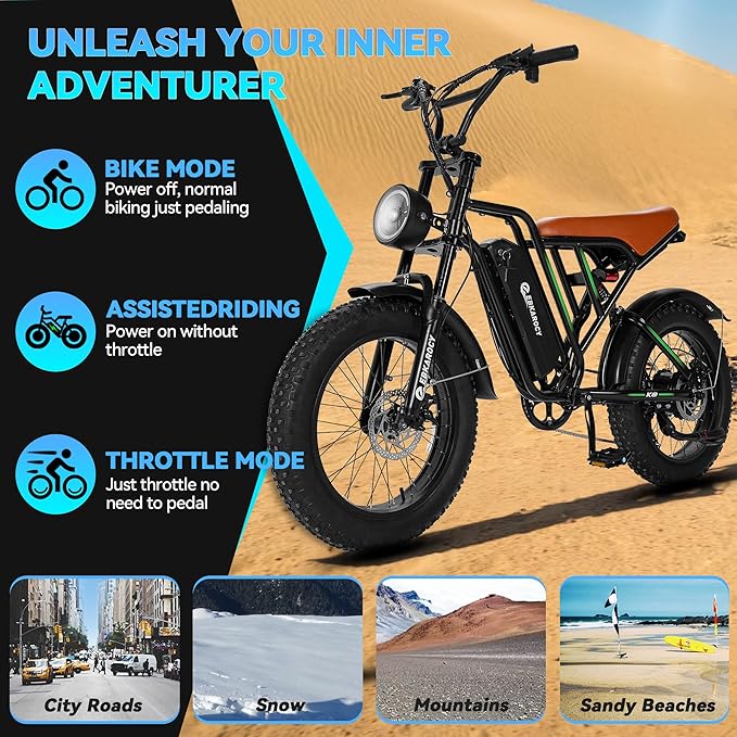 750W Electric Bike for Adults, 20" Fat Tire Electric Dirt Bike with 48V 13AH Removable Battery, Max 25 MPH & 35+Miles, LCD Display, Full Suspension Ebike for Snow/Beach/Mountains/Road