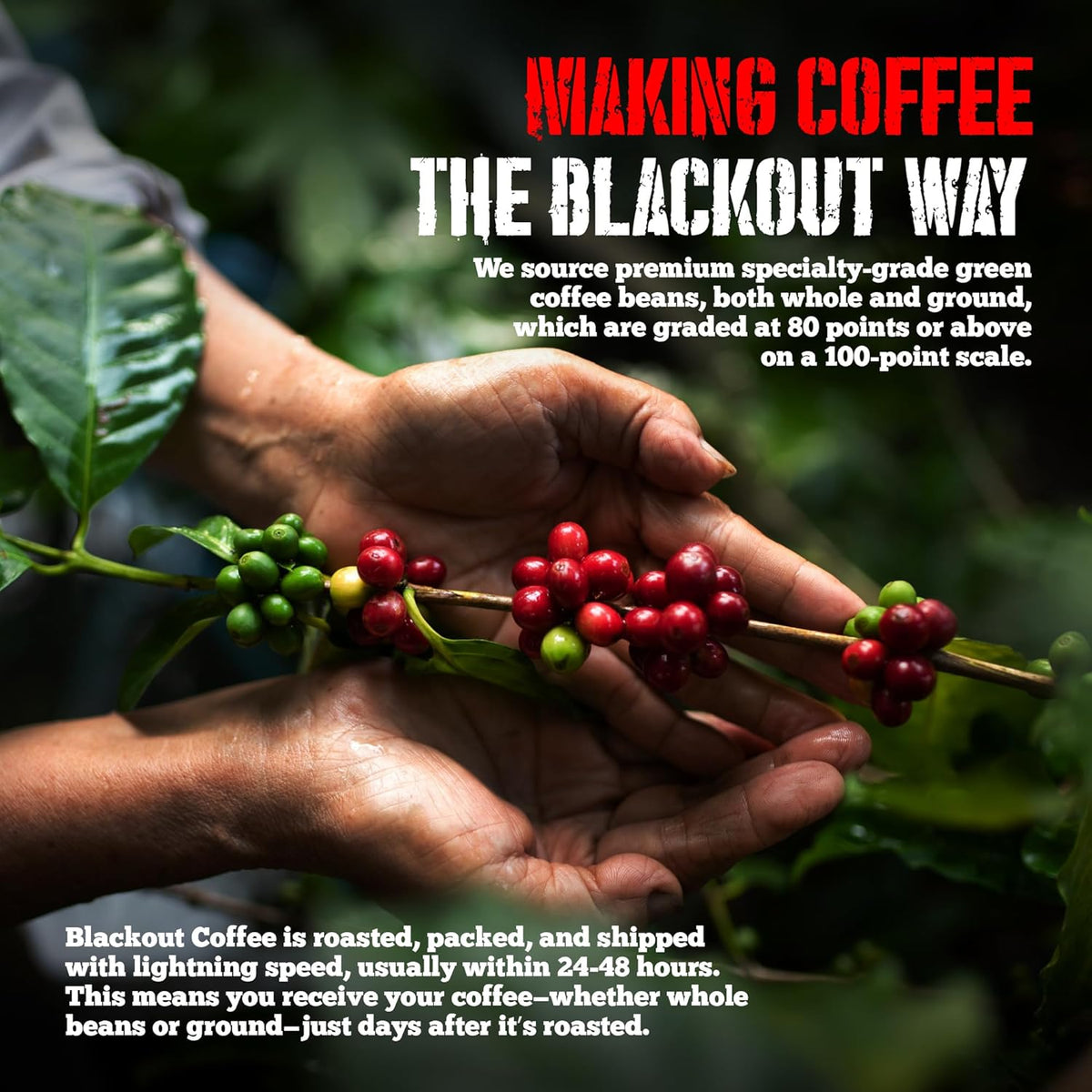 Blackout Coffee Chocolate Cherry Flavored Medium Roast - Freshly Roasted in the USA - 12 oz Ground Coffee Pouch