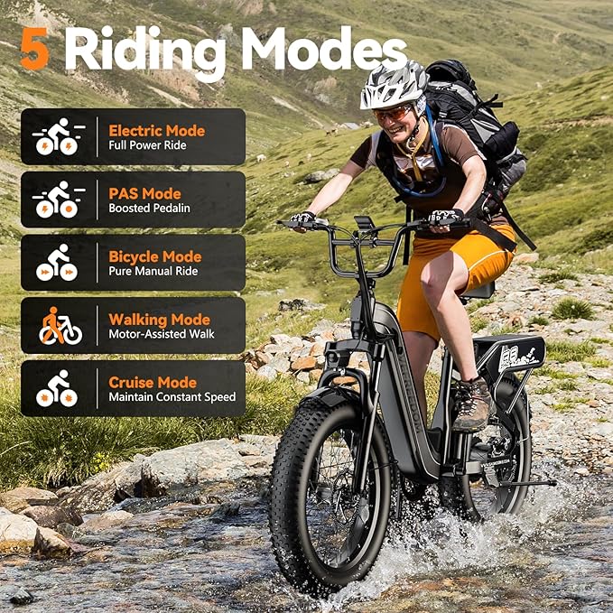 1500W Peak Motor Electric Bike for Adults Up to 80 Miles 30MPH Dirt Ebike 20" x 4 Fat Tire 48V 20Ah Removable Battery Mountain E Bike Commuter Full Suspension Bicycles for Men Women