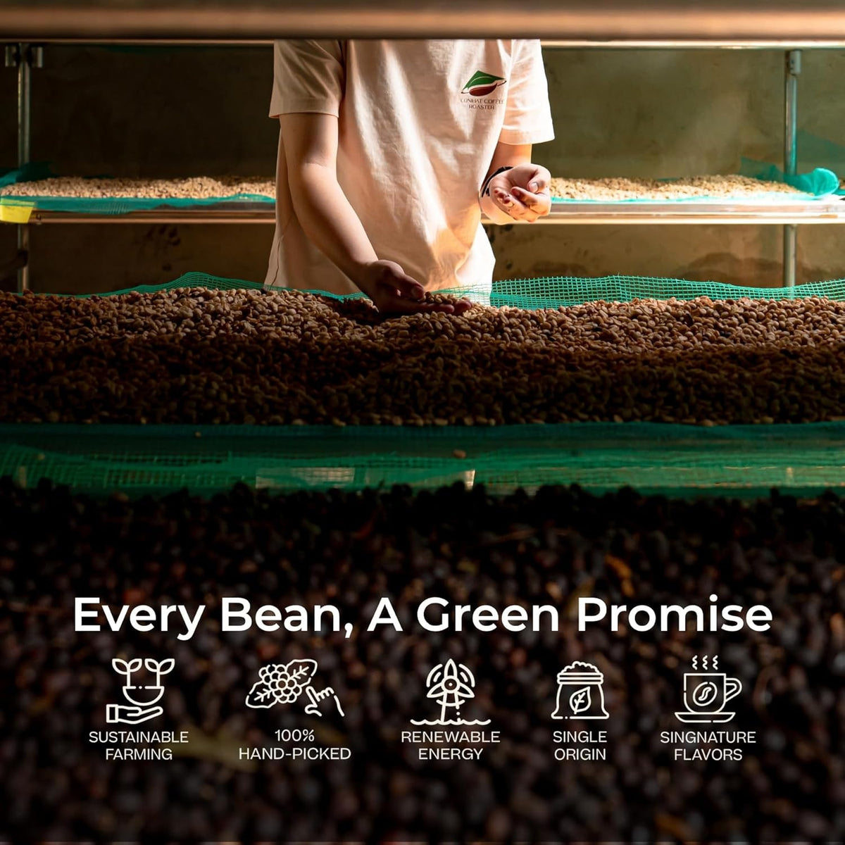 Conihat Whole Bean Coffee - 100% Vietnamese Premium Arabica, Dark Roast, Chocolate & Fruity Notes, Sweet Finish, Low Acid, Single Origin, Hand-Picked, 16 Oz Bag