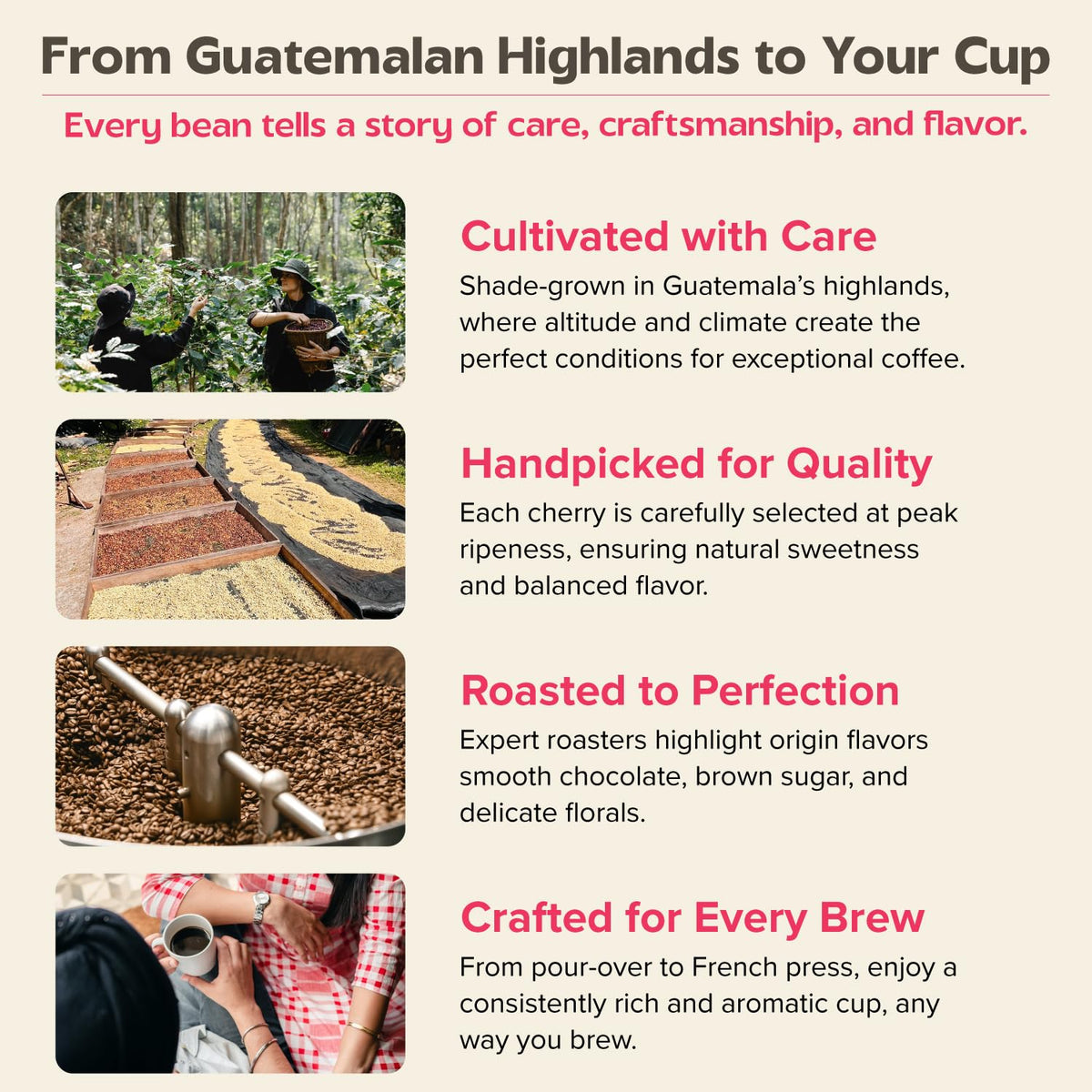 Uncharted Coffee 1850 Guatemala Whole Bean – Organic Single-Origin Medium Roast, Direct Trade, Balanced Flavor with Cocoa & Citrus Notes, Fresh Roasted, 9 oz Bag