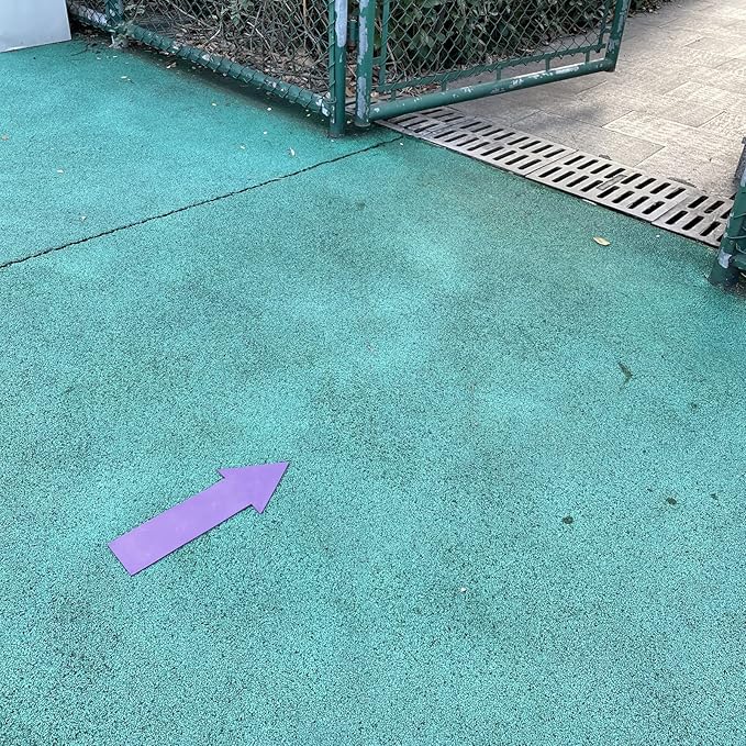 12pcs Colorful Star Arrow Spot Marker Non-Slip Directional Carpet Marker for Training Agility, Kids Classroom Activity, Gym, Sport, Home (Arrow)