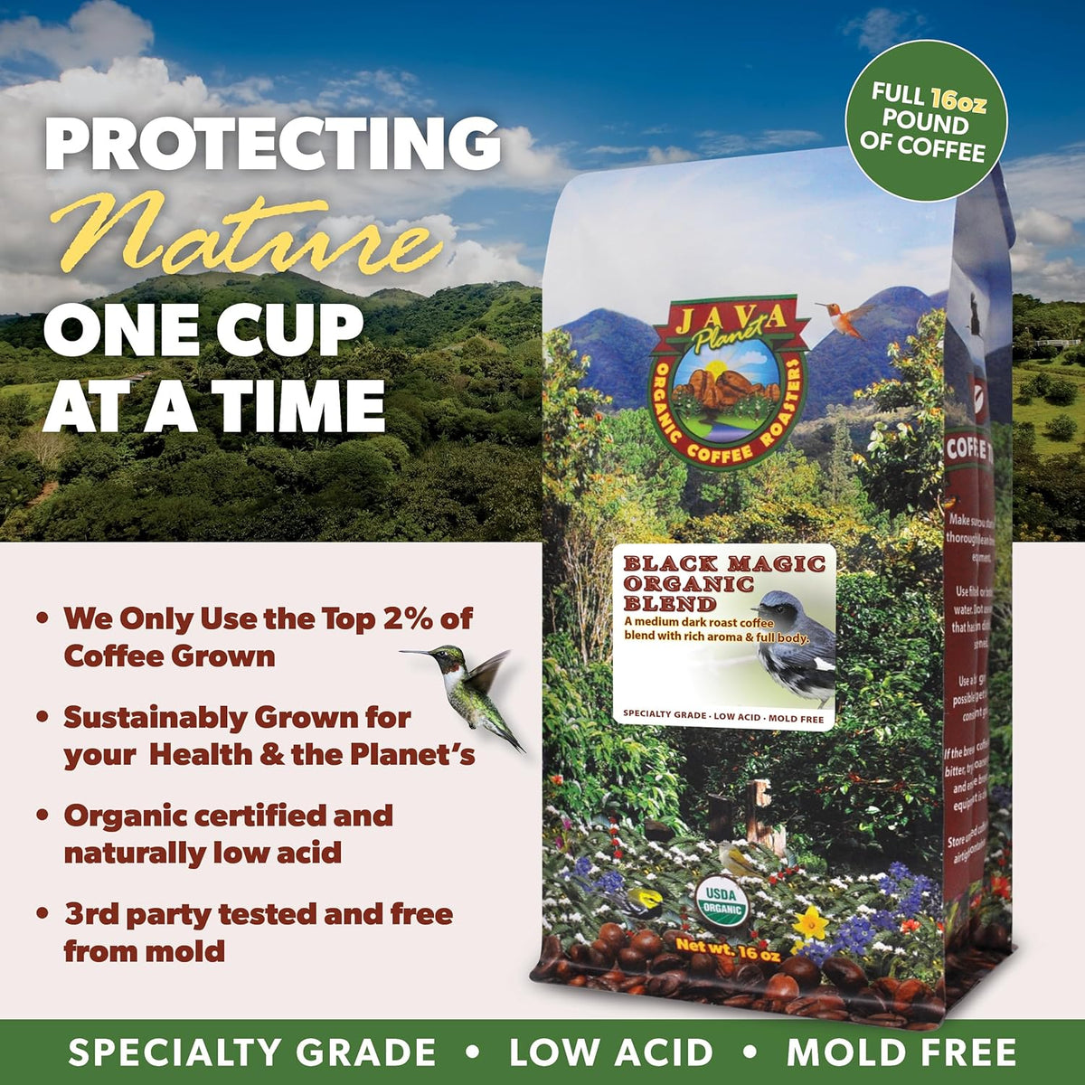 Low Acid Organic Coffee – Whole Bean, Mold-Free & Stomach Friendly by Java Planet, Black Magic Blend Coffee, Medium Dark Roast, Smooth Full Flavored, 1LB Bag