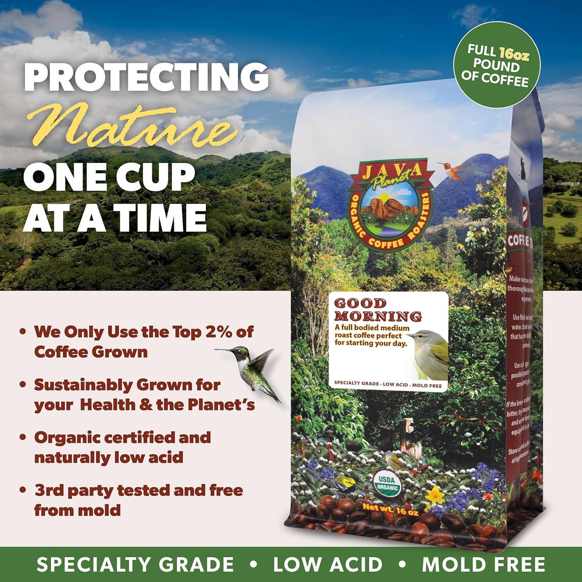 Low Acid Organic Coffee – Whole Bean, Mold-Free & Stomach Friendly by Java Planet, Good Morning Blend Coffee, Medium Roast, Smooth Full Flavored, 1LB Bag