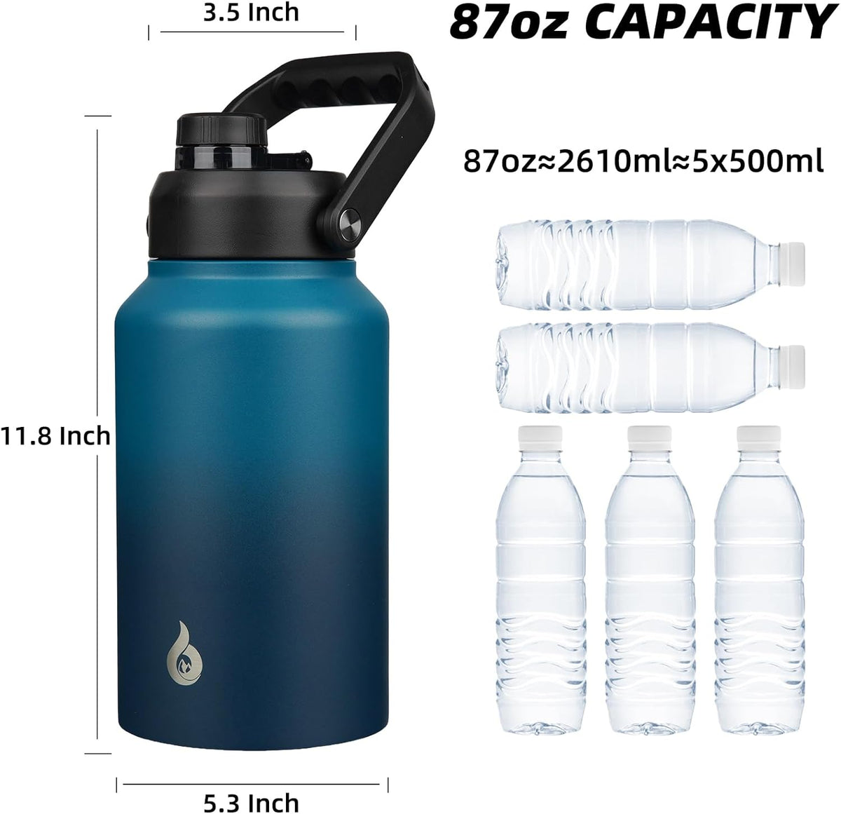 BJPKPK 87oz Insulated Water Bottle, Dishwasher Safe 2/3 Gallon Water Bottle with Ergonomic Handle, BPA Free Leak Proof Water Jug, Stainless Steel Metal Water Bottle with Anti-slip Bottom,Vast