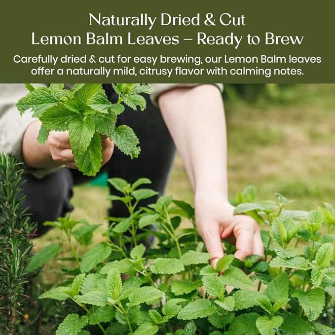 BlendArt Teas - Lemon Balm Herbal Tea - 30 Count - Pyramid Tea Bag | Relive Stres- Lemon Balm Herbal Tea | Reduces Bloating | Refreshing Flavour - Leaf Based - Caffeine Free | Ziplock Pouch