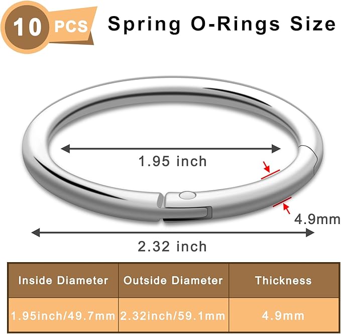 10Pack 2" Large Round Carabiner Clips, Metal Spring O Rings for Organizer Key Rings, Paracord Keychain Lanyard, Pet Chains, Purse Hardware, Key Snap Hooks DIY Accessory (Silver)