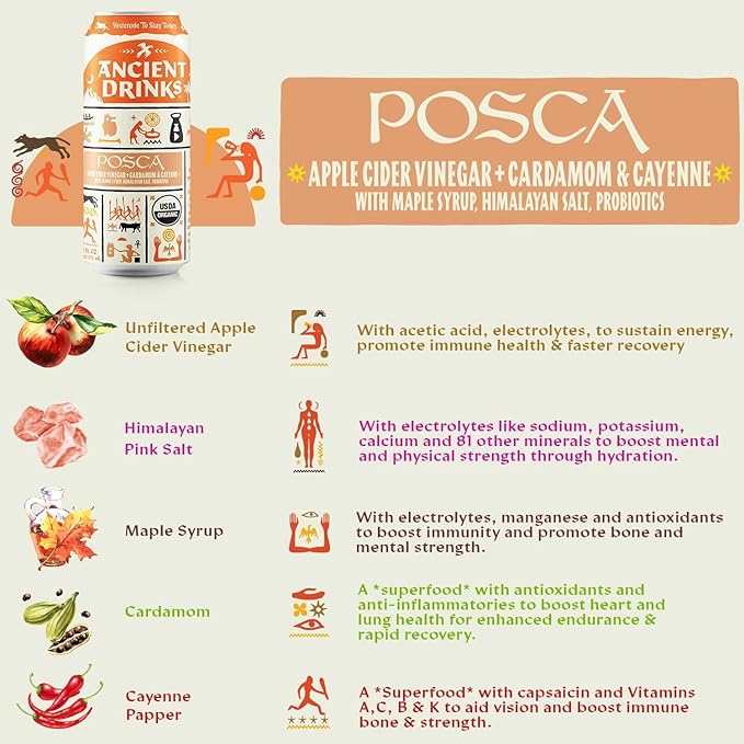 ANCIENT DRINKS Apple Cider Vinegar Beverage with Electrolytes, Vitamins, & Probiotics, Organic, Super-Hydrating Sports Drink - Mixed Pack (Posca, Switchel, Sekanjabin) - 16 fl oz (12 cans)