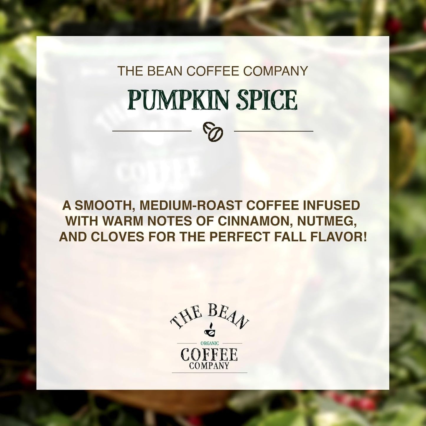 The Bean Organic Coffee Company Pumpkin Spice, Medium Roast, Whole Bean Coffee, 5-Pound Bag