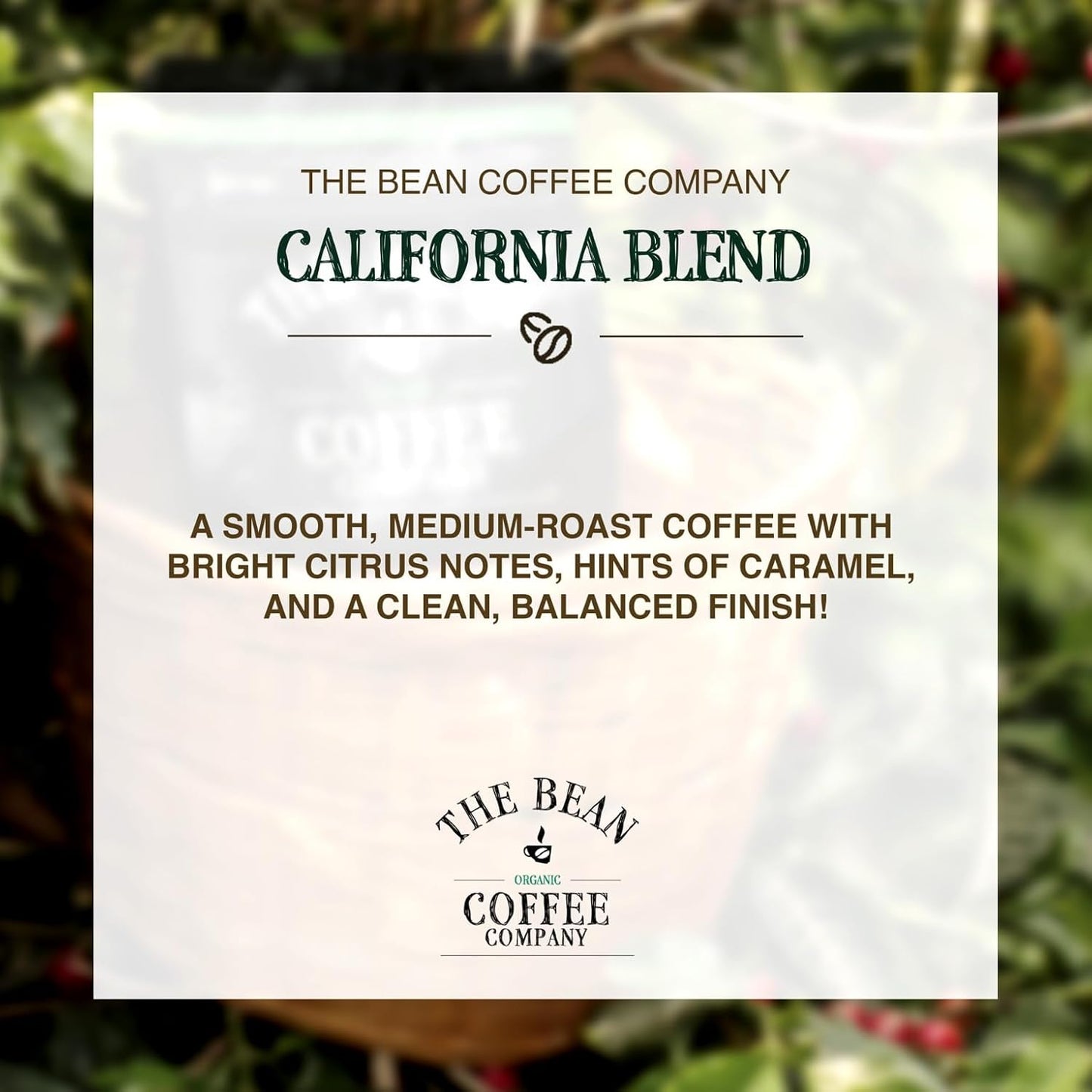 The Bean Organic Coffee Company California Blend, Medium Roast, Ground Coffee, 5-Pound Bag, Café molido tostado orgánico