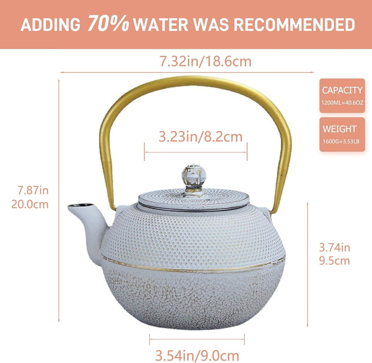 Japanese Tetsubin Cast Iron Teapot Tea Kettle pot with Stainless Steel Infuser for Stovetop Safe Coated with Enameled Interior (White, 1200ml)