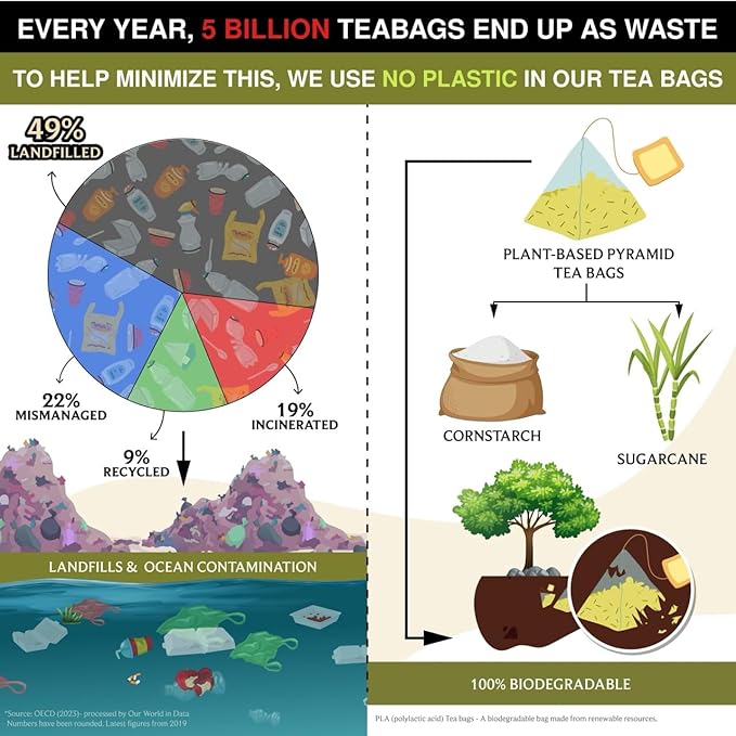 BREWIX, Bergamot Green Tea (25 Pyramid Tea Bags) | Caffeinated Tea Loose Leaf Earl Grey Green Tea With Pure Bergamot | High Elevation Grown