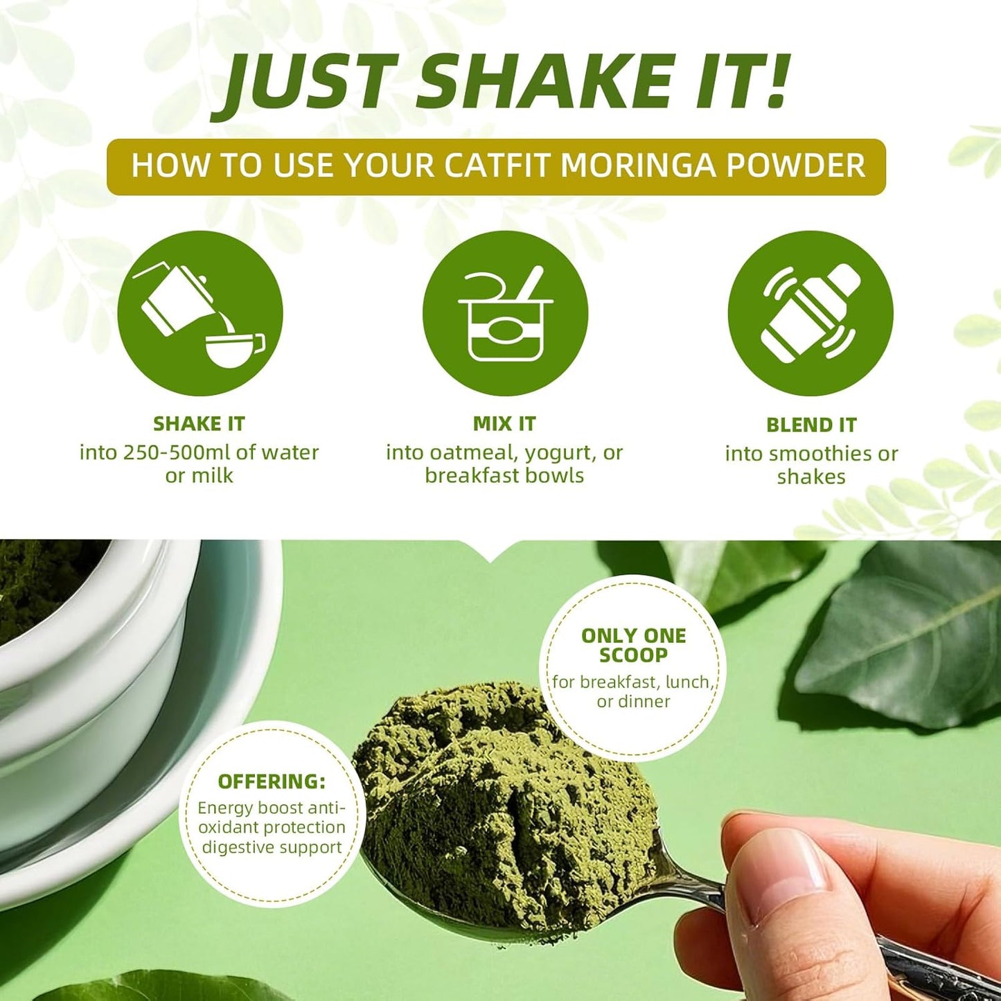 Matcha Moringa Powder – Superfood Blend with Green Tea & Resveratrol, Energy & Focus Support, Immune & Antioxidant Defense, Vegan, Gluten-Free, 8.8oz