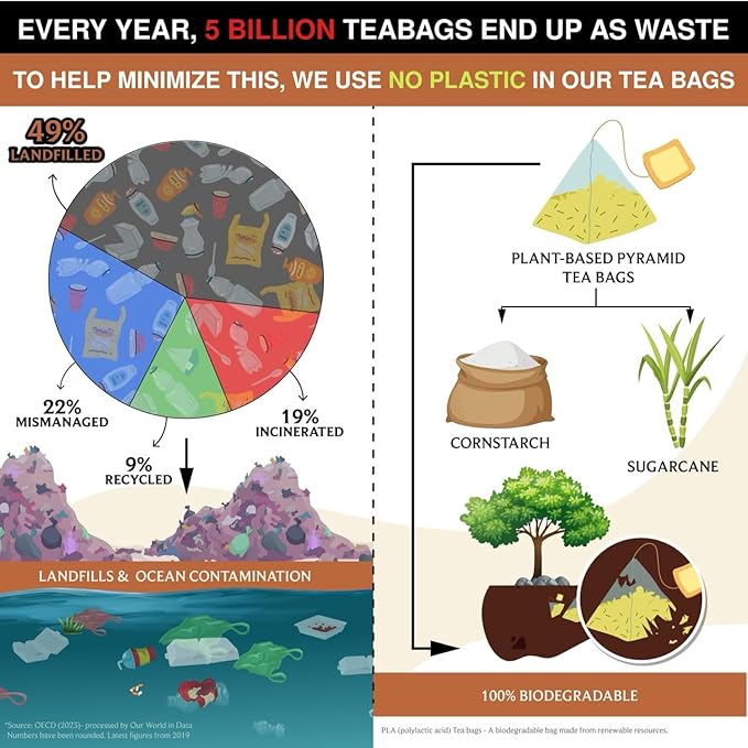 BREWIX, Masala Chai Tea Bags (22 Pyramid Tea Bags) Strong, Robust & Spicy - Pure Ingredients | Black Tea, Cinnamon, Ginger, Black Pepper, Cardamom & Cloves, Packed in Resealable Ziplock Pouch