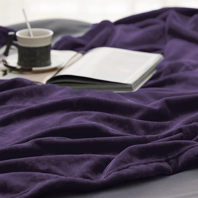 Bedsure Purple Fleece Blankets King Size - Bed Blanket Soft Lightweight Plush Cozy Fuzzy Luxury Microfiber, 108x90 inches
