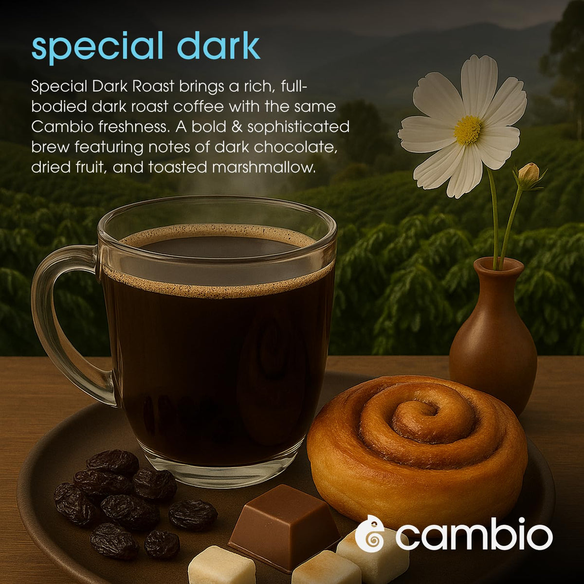 Cambio Roasters Premium Dark Roast Keurig Organic Coffee K Cups, Only Aluminum Keurig Coffee Pods with Organic Beans, More Flavor & Longer Lasting Freshness, Bold & Smooth Dark Roast Pods, 60 count
