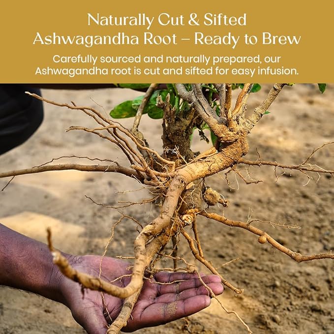 BlendArt Teas - Ashwagandha Root TeaBags - 50 Count - Pyramid Tea Bag |Ancient Adaptogen Superfood for Men and Women | Helps in Relive Stress | Promote Cleansing & Wellness | Caffeine Free | Ziplock Pouch