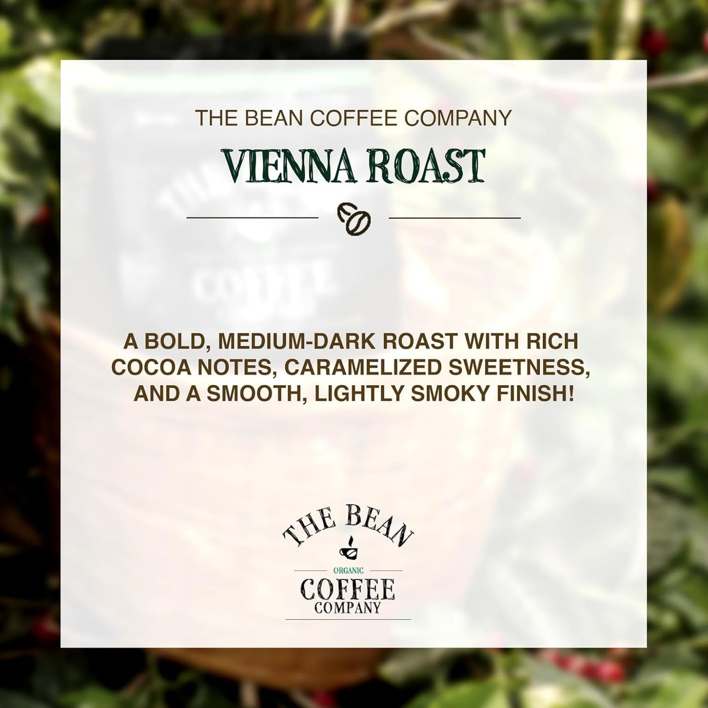 The Bean Organic Coffee Company Vienna Roast, Medium, Whole Bean Coffee, 16-Ounce Bags (Pack of 2)