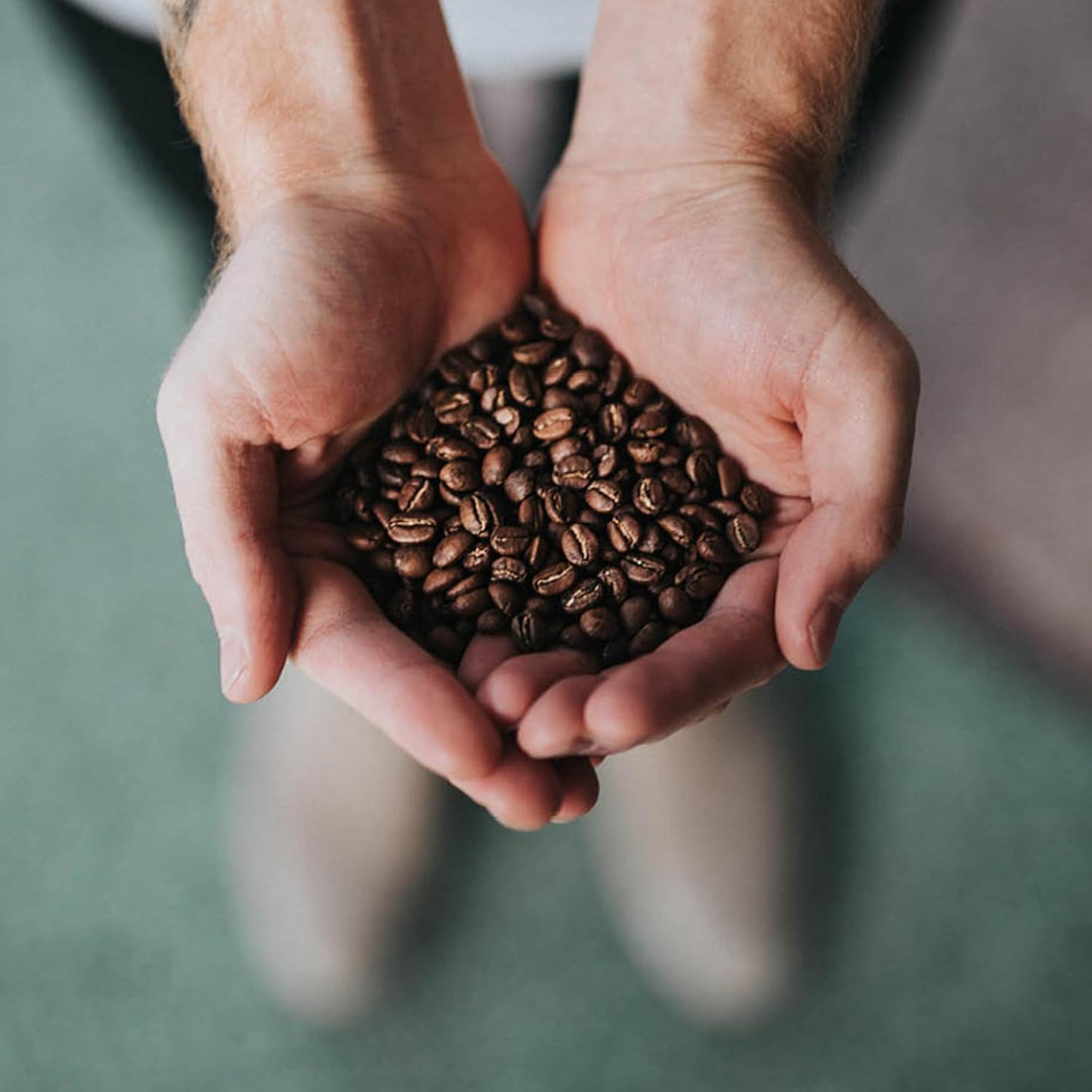 Coffee Bean Direct Organic Fair Trade Nicaraguan SHG, Whole Bean Coffee, Light Roast, 2.5 Pound Bag (Pack of 1)