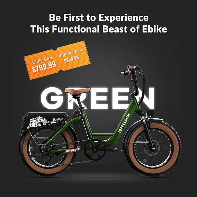 1500W Peak Motor Electric Bike for Adults Up to 80 Miles 30MPH Dirt Ebike 20" x 4 Fat Tire 48V 20Ah Removable Battery Mountain E Bike Commuter Full Suspension Bicycles for Men Women