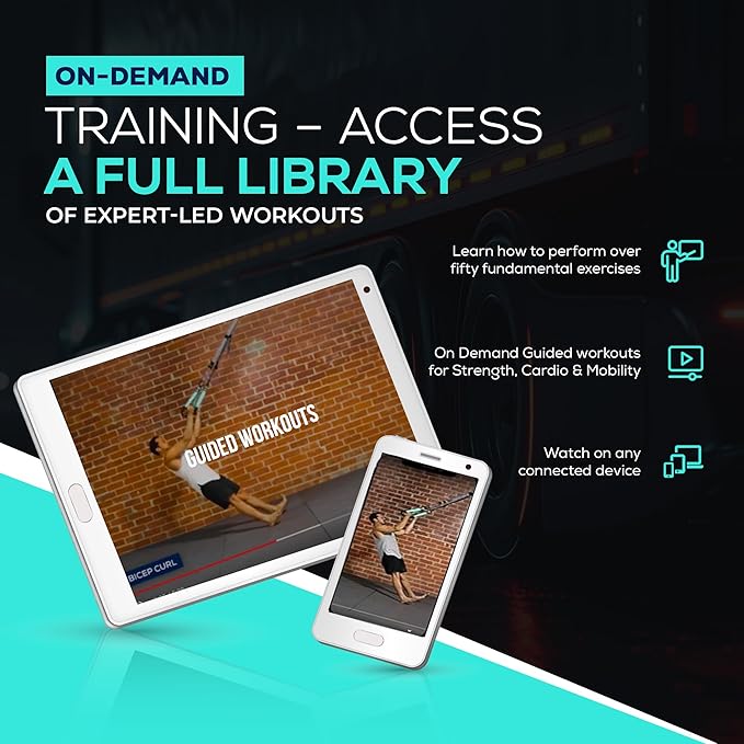 All In One Suspension Trainer Kit, Full Body Workout at Home, Exercise Straps That Will Help You Build Muscle, Burn Fat and Improve Mobility