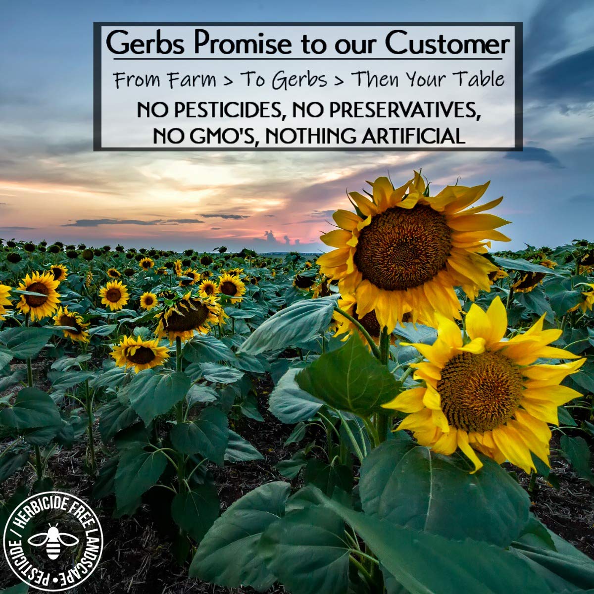 Gerbs Ground Sunflower Seed Meal, 2 LBS - Top 14 Food Allergy Free & NON GMO - Vegan & Keto Safe – Cold Milled Full Oil Seed Protein Powder