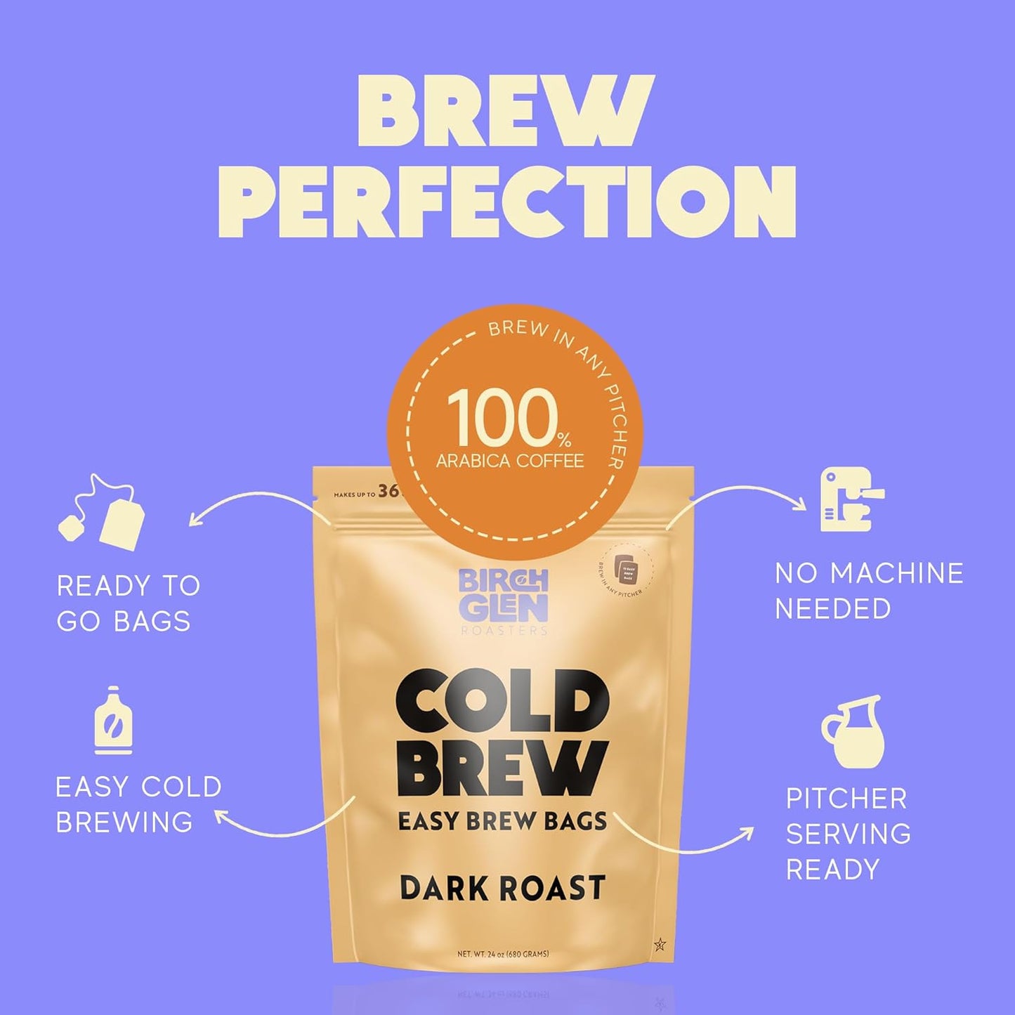 Birch Glen Roasters Cold Brew Coffee Bags - 12 Pack of Coarse Ground Coffee Filter Pitcher Packs for Easy Brewing - 100% Arabica - Yields 6 Pitchers - Caramel Cream Flavor