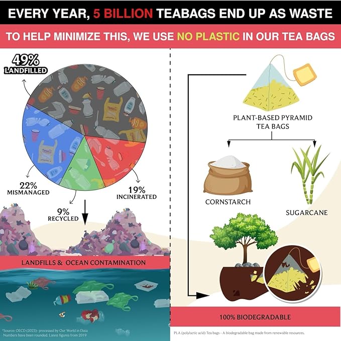 BREWIX, Strawberry Mint Tea Bags (25 Plant Based Tea Bags), Made with - Black Tea, Hibiscus, Spearmint, Fennel, Strawberry | Caffeinated & Sugar-Free