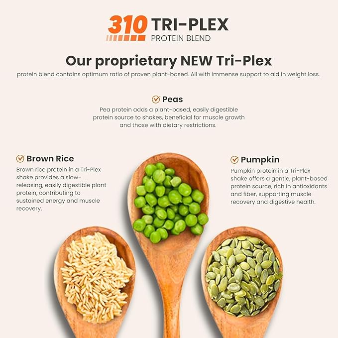 310 Nutrition All-In-One Meal Replacement Shake Powder - Plant-Based Protein Smoothie Blend w/High Fiber, Probiotics & Adaptogens - Low Carb, Vegan, Keto & Paleo Friendly - Gingerbread - 14 Srv