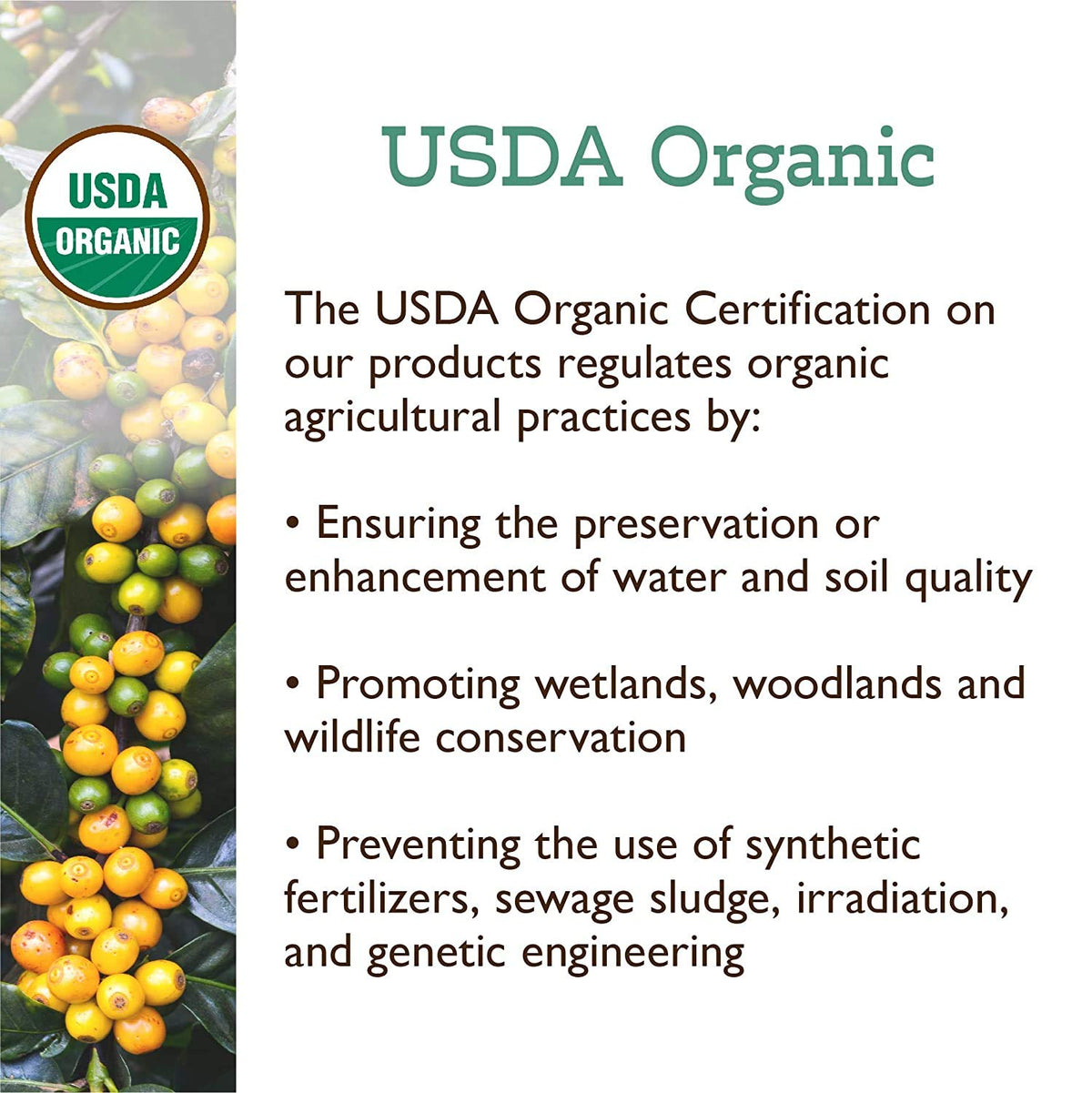 Fresh Roasted Coffee, Organic White Knight | USDA Organic, Kosher | Light Roast 24 Pods for K Cup Brewers