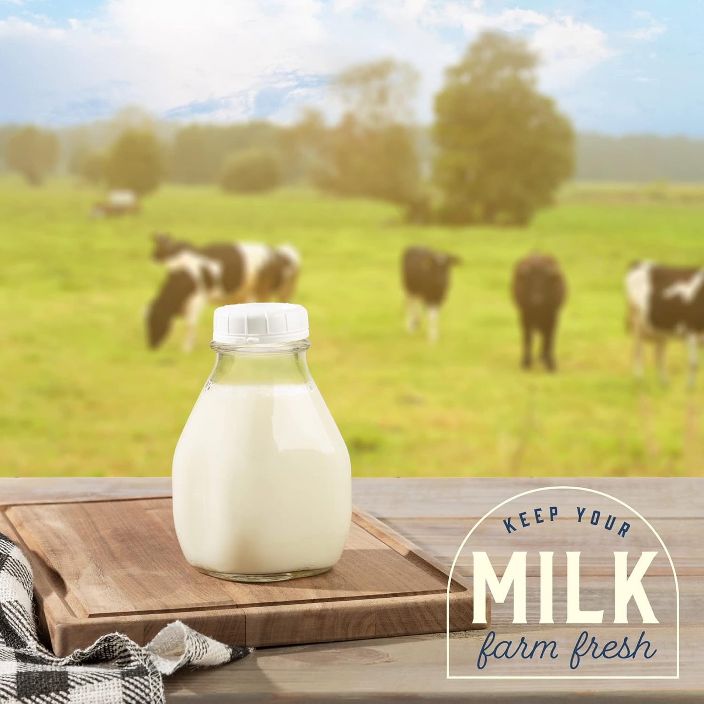 kitchentoolz 16 oz Glass Milk Bottle with Lid and Pour Spout – Small Glass Creamer Container for Refrigerator – Airtight Pint Milk Bottle for Coffee, Tea, and Liquid Storage