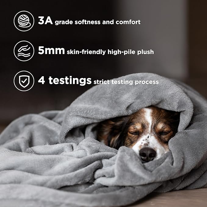 Bedsure Fleece Blanket Twin Size Grey - 300GSM Lightweight Plush Fuzzy Cozy Soft Warm Blanket for Bed, Sofa, Couch, Travel, Camping, 60x80 inches