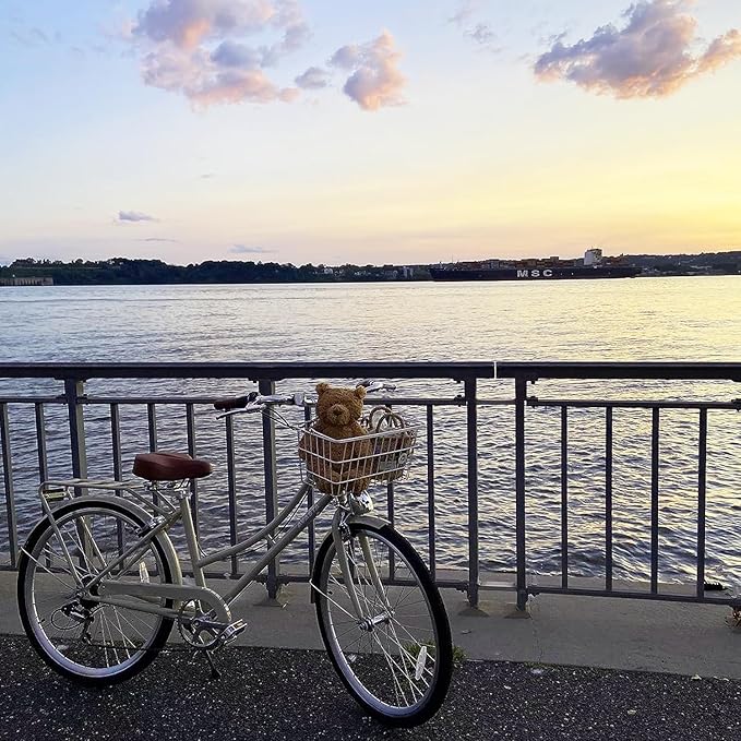 AVASTA Astrid Vela Hybrid Bike for Adult Women Female Lightweight Step Through 26 Inch High Tensile Steel Frame City Commuter Comfort Lady Bicycle, 6-Speed, Multiple Colors