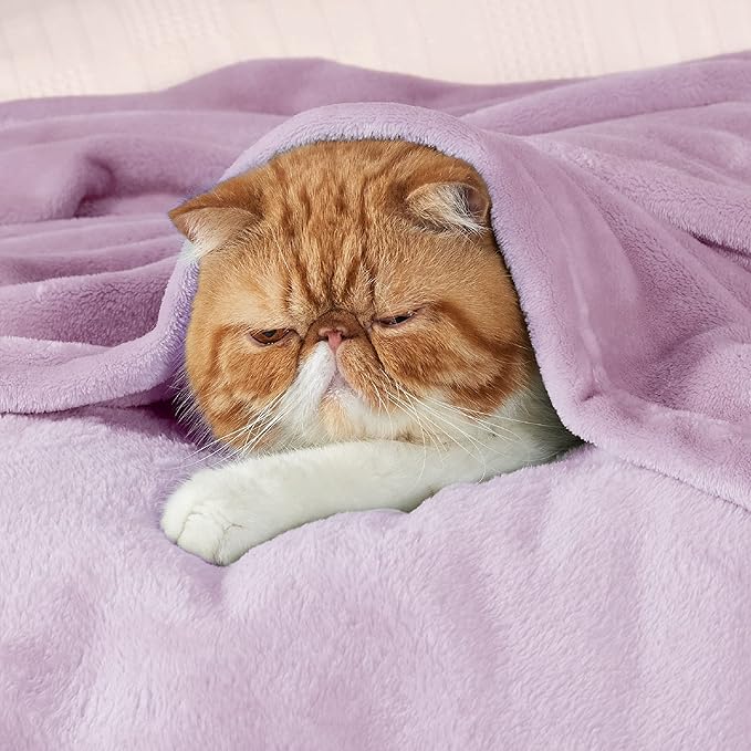 Bedsure Bedding Fleece Blanket for Girls and Boys - Soft Cozy Cute Small Throw Blankets for Travel, 43x55 Inches, Lilac