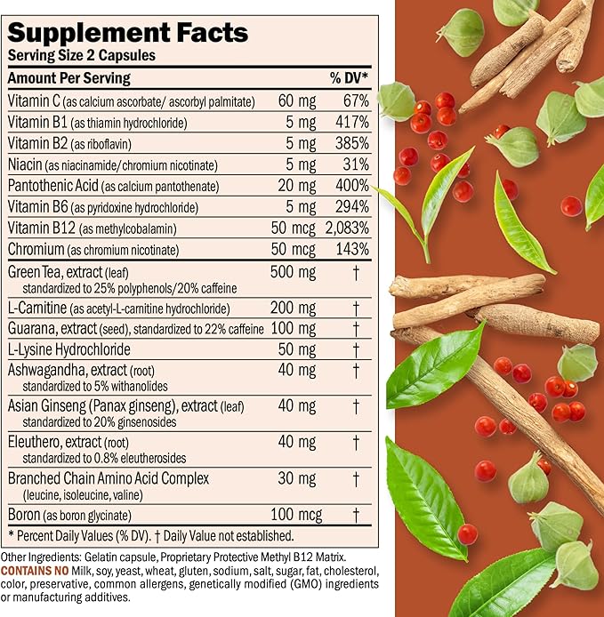ANDREW LESSMAN Energy and Fat Metabolism Factors - 360 Capsules - Promotes Optimum Fat and Energy Metabolism, with Carnitine, Green Tea, Guarana, Ginseng, B-Complex. Easy to Swallow Capsules