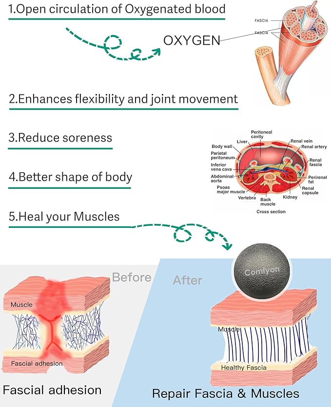Plantar Fasciitis Relief Massage Ball – Lacrosse Ball, Foot Massage Roller & Myofascial Release Ball for Foot Pain, Trigger Point Therapy, Hard Ball for Deep Tissue & Fascia Massage