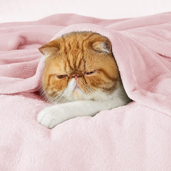 Bedsure Fleece Blanket Twin Size Pink - 300GSM Lightweight Plush Fuzzy Cozy Soft Blanket for Bed, Sofa, Couch, Travel, Camping, 60x80 inches