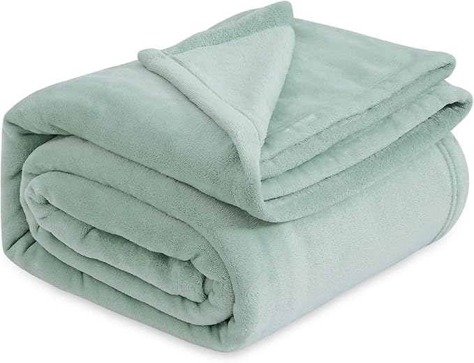 Bedsure Sage Green Fleece Blankets Queen Size - 280GSM Soft Lightweight Plush Cozy Blanket for Bed, Sofa, Couch, Travel, Camping