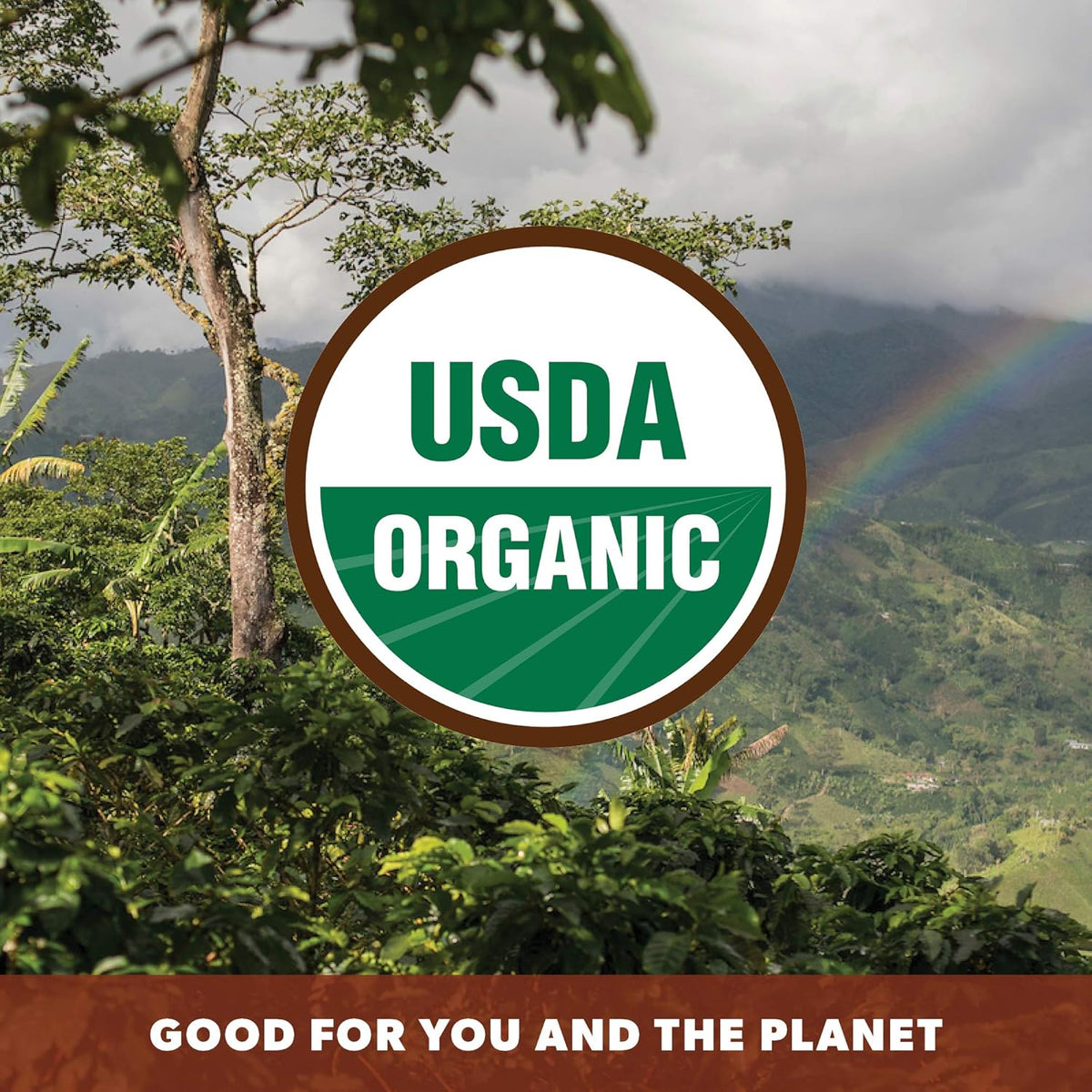 Low Acid Organic Coffee – Whole Bean, Mold-Free & Stomach Friendly by Java Planet, Cinnamon and Vanilla, Medium Dark Roast, Arabica Gourmet Coffee Grade A, Smithsonian Bird Friendly, 1LB Bag