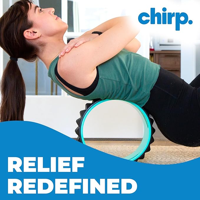 Chirp Wheel XR Acupressure - Back Relief & Muscle Relaxation, Stress Melting, Targeted Trigger Point Release, Comfort Cushioning, High-Density Foam Roller, 500lbs Capacity, 10" Mint