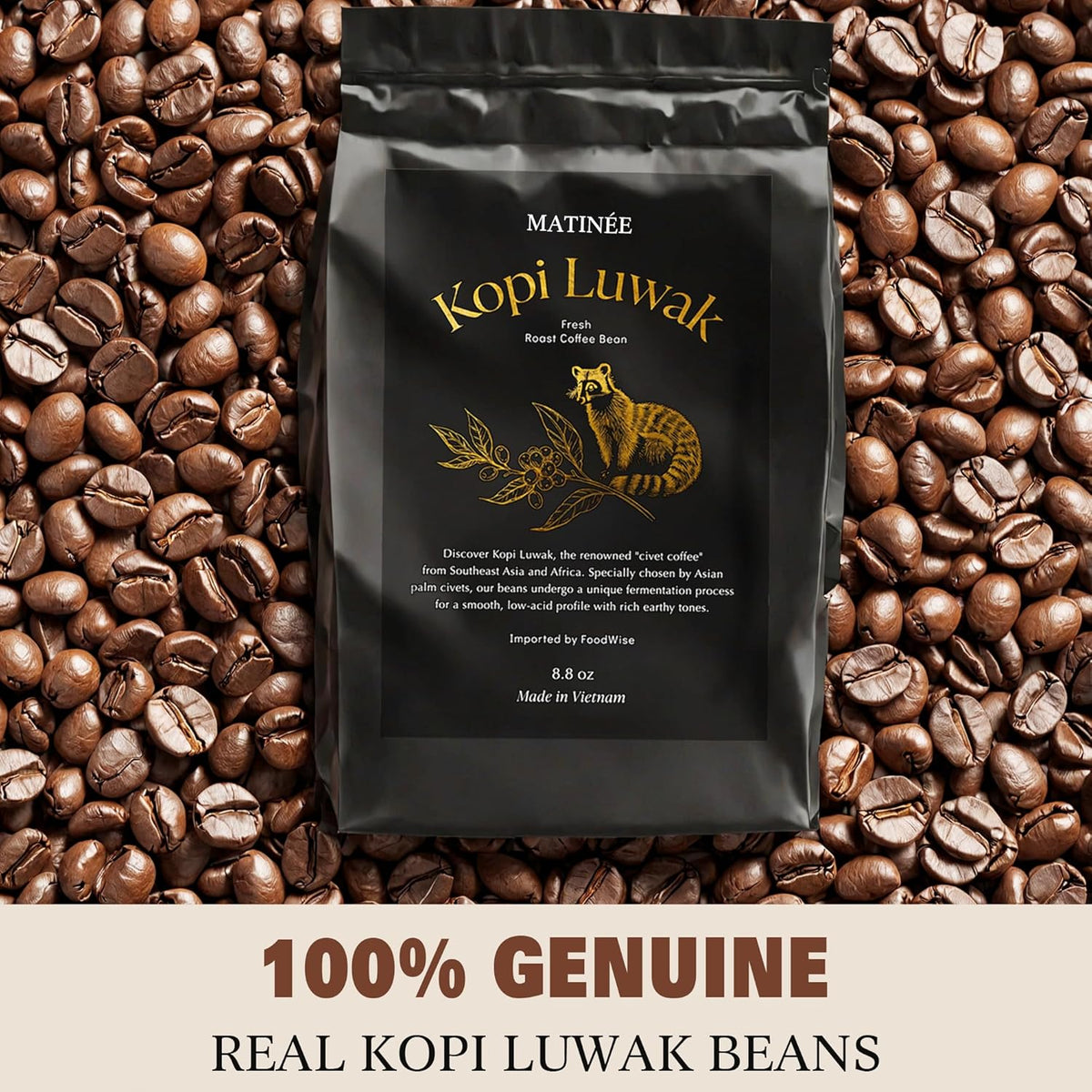 MATINÉE Wild Kopi Luwak Coffee Beans, Medium Roast, Whole Bean Beans, Civet Coffee - Sustainably Sourced From Vietnam, 8.8oz / 250 Grams
