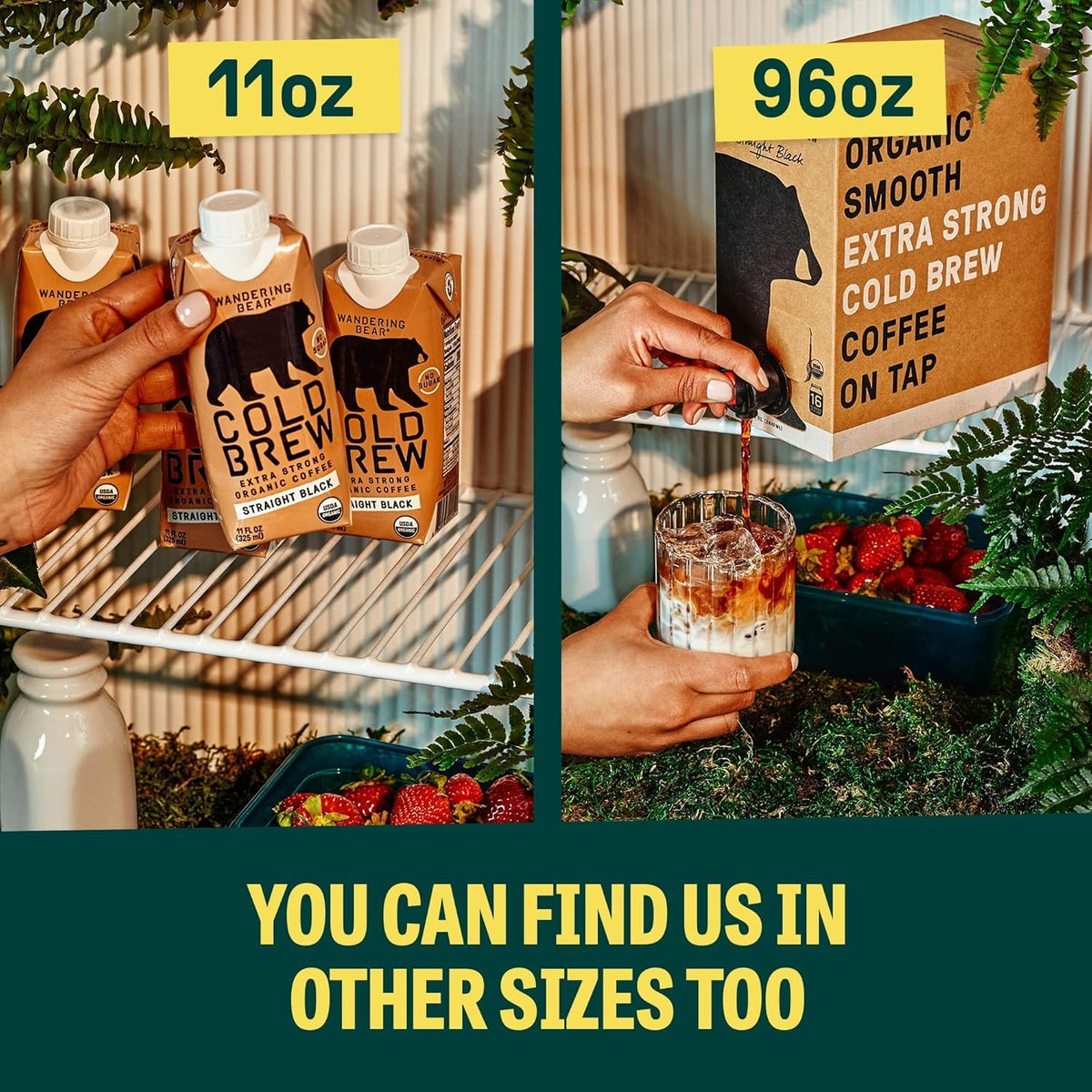 Wandering Bear Espresso Roast Organic Cold Brew Coffee, 32 fl oz, 3 pack - Extra Strong, Bold, Smooth, Unsweetened, Shelf-Stable, Ready to Drink, 100% Organic, Iced Cold Brewed Coffee Drinks